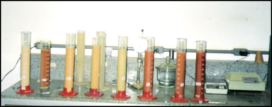 caracterização granulométrica com defloculante, seguindo os procedimentos descritos pela norma NBR 7181, da ABNT (1984) (Figura 5.10). Figura 5.