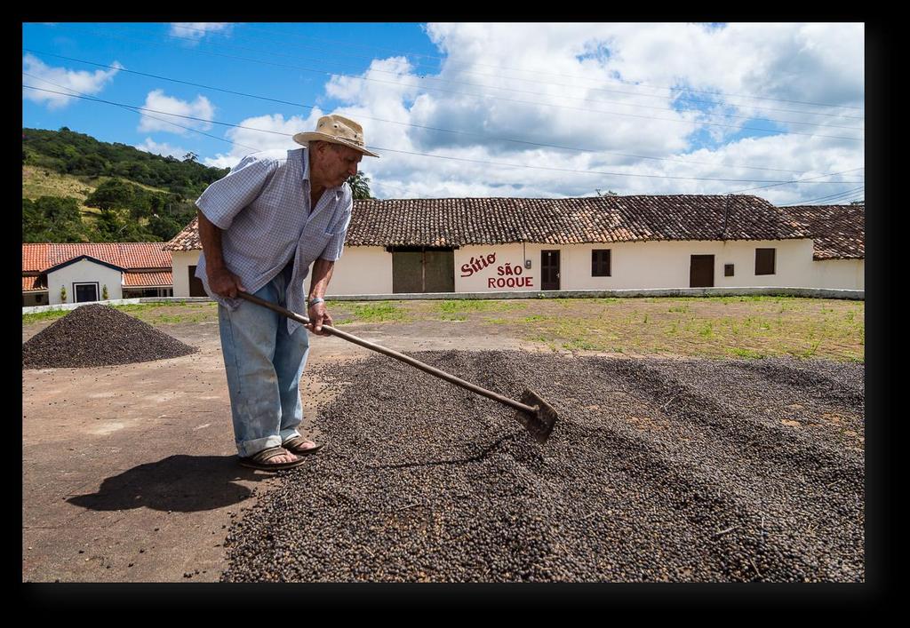 SÍTIO SÃO ROQUE Casarão datado de 1813, preservação do meio ambiente, dos elementos arquitetôni e mobília.