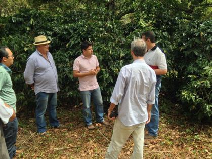 melhoria da qualidade e da sua produtividade, promovendo