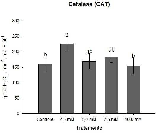 58 A B Figura 16 (A) Proteínas solúveis totais; (B) Atividade de catalase (CAT); em tecidos foliares de plântulas de