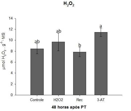 65 A B Figura 20 - (A) Conteúdo de TBARS - Peroxidação de lipídeos; (B) Conteúdo de Peróxido de hidrogênio; em tecidos foliares