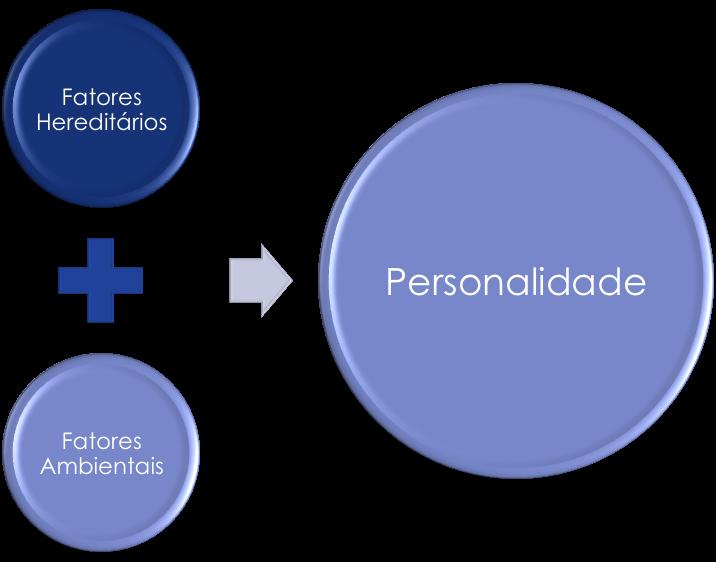 APRENDIZAGEM É o processo pelo qual as