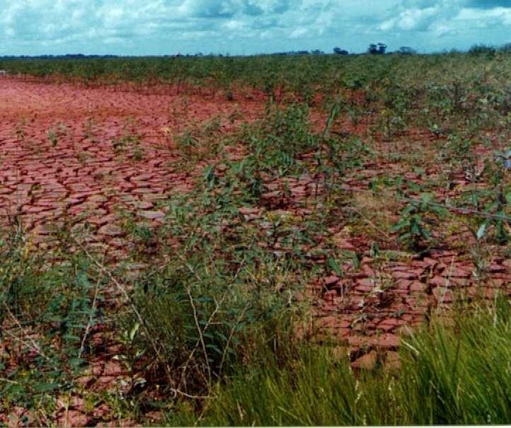 INOVAÇÕES TECNOLÓGICAS EM MÉTODOS DE DISPOSIÇÃO DE