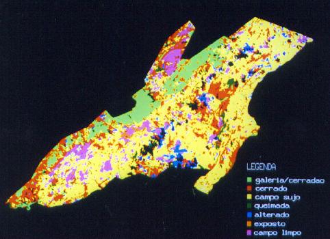 se avaliar o comportamento espectral deste alvo, comparando o resultado entre o NDVI e o EVI. Figura 2. Resultado da Classificação Isoseg no PNCV com as Bandas TM4 visível e NIR.