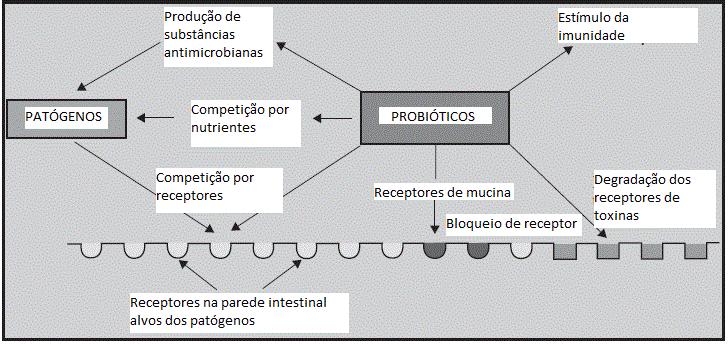 Mecanismo