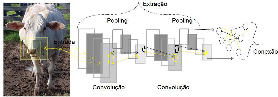 (processo de filtragem ilustrada na Figura 3) e a subamostragem (pooling seria invariantes com relação a pequenas translação numa imagem), completando o primeiro etapa (extração).