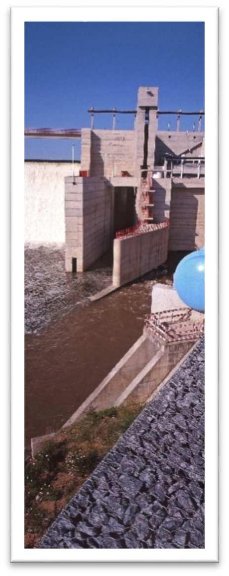 As principais caraterísticas identificativas das infraestruturas que compõem o EFMA são as seguintes: Aproveitamento Hidroelétrico de Alqueva Barragem de Alqueva Tipo abóbada de dupla curvatura em
