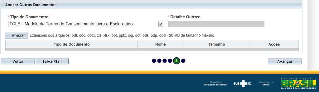 TCLE Modelo de Termo de Consentimento Livre e Esclarecido Este documento deve ser redigido pelo Pesquisador.