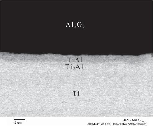 Ti 3 Al. Neste caso, o caminho de difusão é o Al 2 /Ti 3 Al/ Ti/βTi, representado no diagrama pelas bolas brancas.