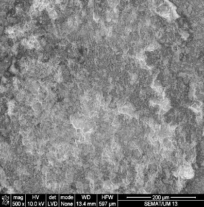 Esses produtos de desgaste oxidados foram compactados nas superfícies desgastadas, durante o deslizamento pelo contra corpo, contribuindo assim para as grandes oscilações [79].