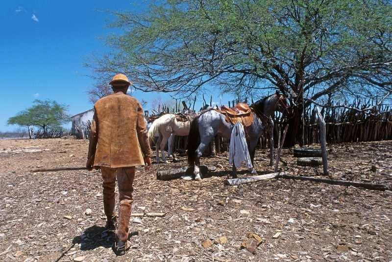 O clima é SEMIÁRIDO; e o solo, raso e