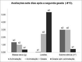 b2 2,00 a2 0,06 b2 (G) Geada (sem aclimatação) 3,89 a1 0,72 b1 0,67 a1 0,02 b1 Médias de 9 repetições, em cada coluna letras seguidas de mesmos números não diferem estatisticamente pelo teste de