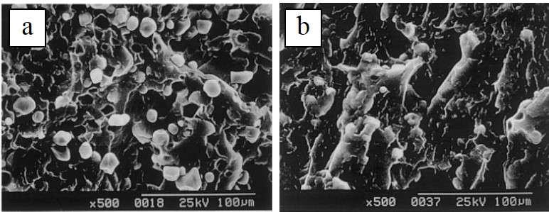 Figura 10 Micrografias da superfície de fratura obtidas por MEV das blendas de PEBD com 25 % de amido de milho. (a) sem agente compatibilizante e (b) com agente compatibilizante.