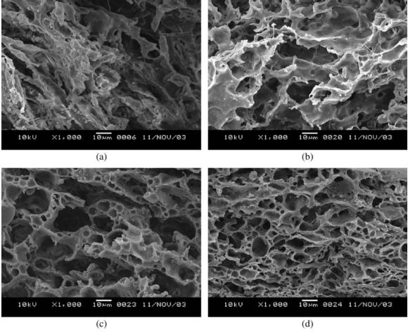 Figura 11 Micrografias obtidas por MEV de blendas de amido e PEBD, após duas semanas sob o solo: (a) 0 %; (B) 10 %; (C) 30 %; (D) 50% de agente compatibilizante em função do teor de PEBD.