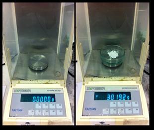 uma balança de precisão (Quimis Aparelhos Científicos LTDA, Diadema, SP) (Figura 6), 3 g do pó de CP foi inicialmente pesada para cada grupo.