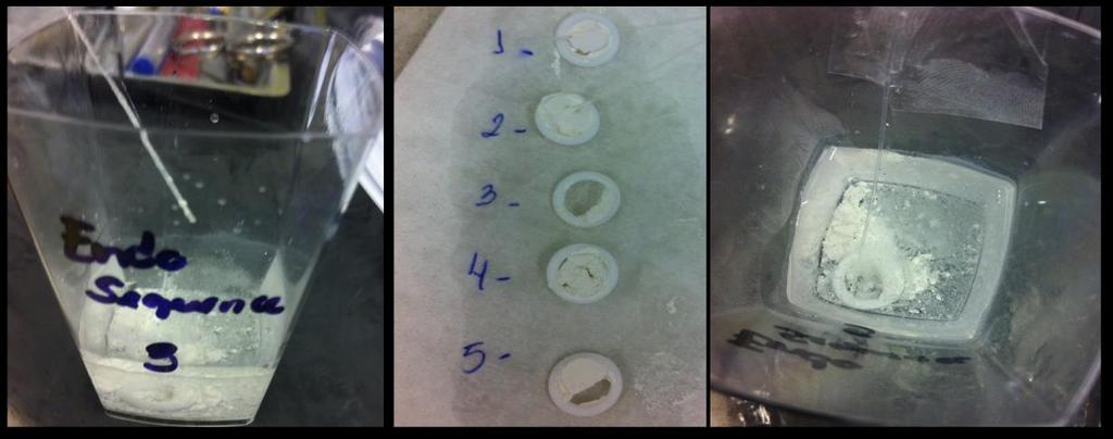 Figura 32. Diluição/Solubilidade do EndoSequence RRM no momento da imersão em água destilada. 7.