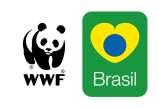 Seminário de Atualização para Jornalistas sobre a CBD CoP-9 9ª Conferência dos Estados-Parte da Convenção sobre a Diversidade Biológica Realização WWF-Brasil e
