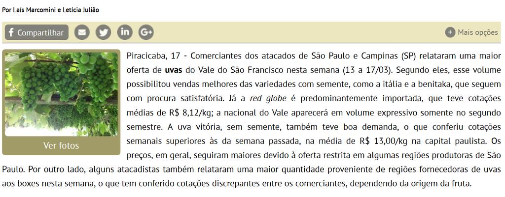 As uvas sem sementes Crimpson e Thompson, com quantidades semelhantes à uva Itália, obtiveram, preços até 155%superiores.