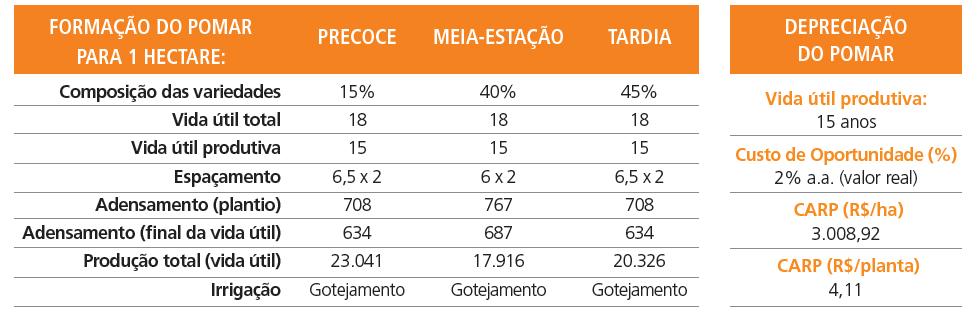 PROJETO DE IMPLANTAÇÃO DE UM POMAR DE CITROS (ORÇAMENTO) 1) DEFINIR TÉCNICAMENTE AS VARIÁVEIS