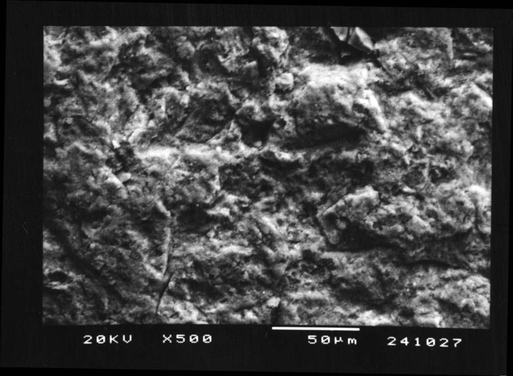 129 FIGURA 13 - Aspecto morfológico da superfície da amostra do Cerômero
