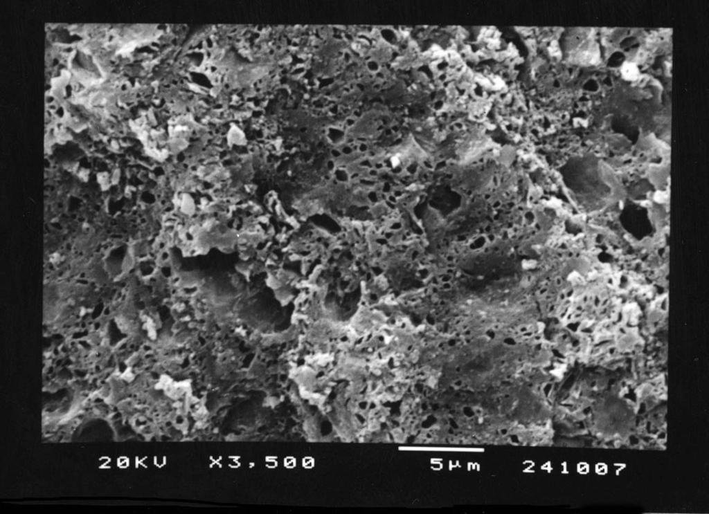 FIGURA 14 - Aspecto morfológico da superfície da amostra do Cerômero