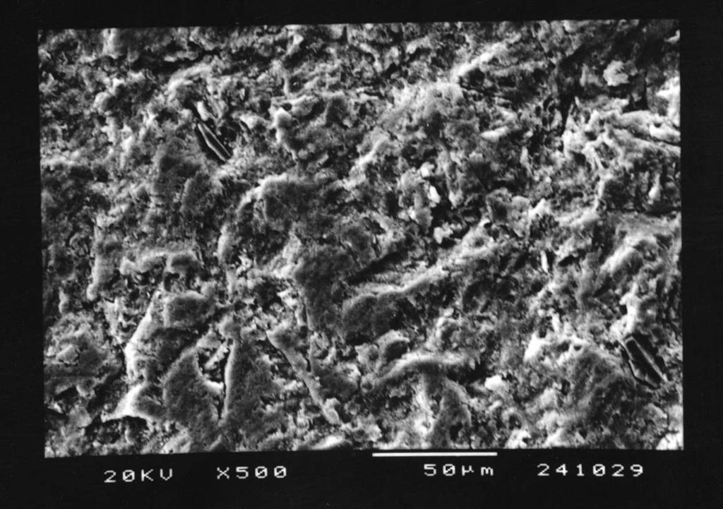 130 FIGURA 15 - Aspecto morfológico da superfície da amostra do