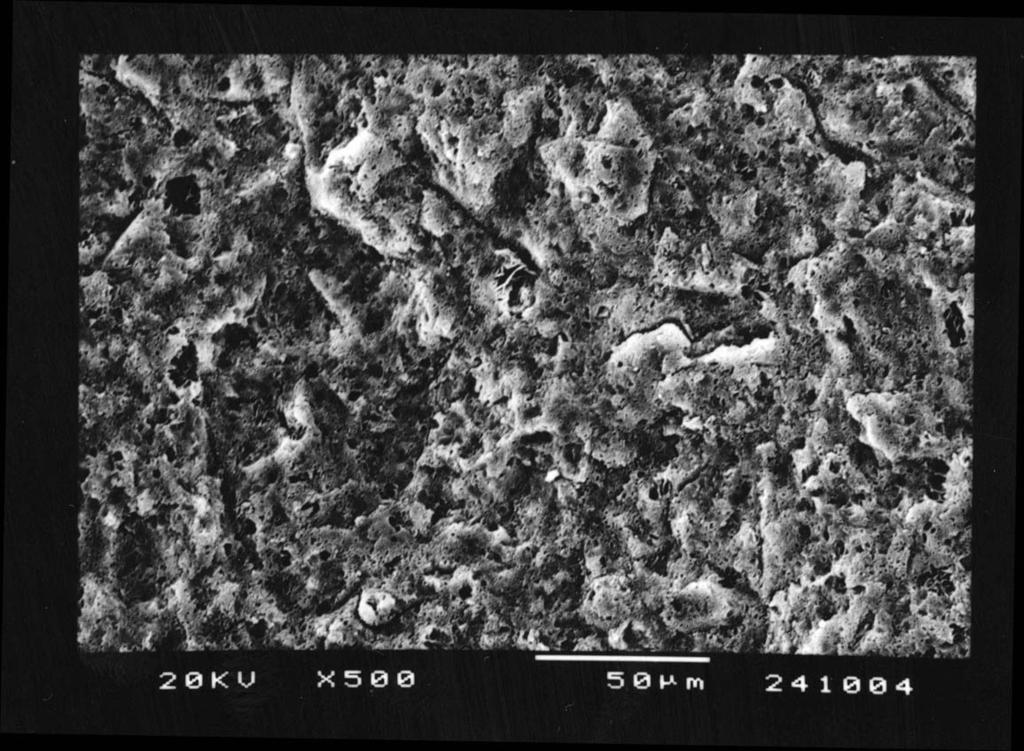 131 FIGURA 17 - Aspecto morfológico da superfície da amostra do