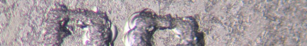 61 Figura 5.11. Foto de alvo de vidro borato com distância de 2 µm entre os sulcos de ablação.