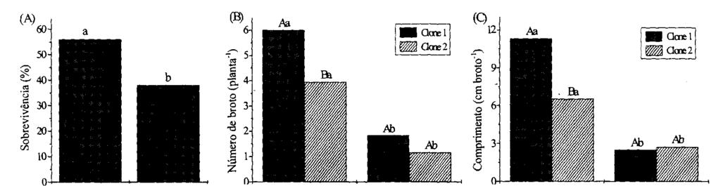 menos uma mesma letra maiúsculas não diferem entre si para clone e, letras minúsculas não diferem entre si para subcultivo, ao nível de 5% de probabilidade pelo teste de Tukey.