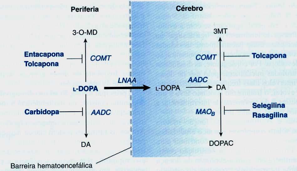 Inibidores da degradação de DA Inibidores da COMT Tolcapona: ação longa, inibe COMT periférica e central Entacapona: ação de