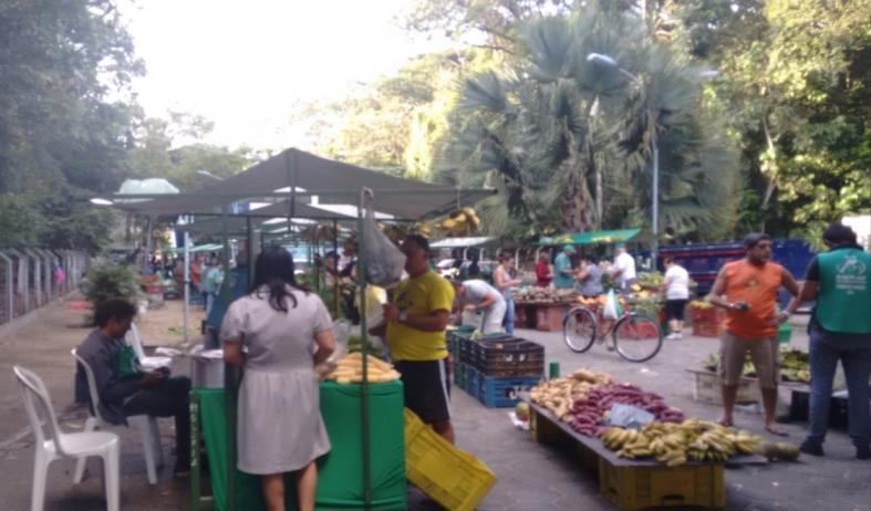 Foto 01: Feira Agroecológica da UFPB Fonte: Trabalho de campo realizado no dia 16 de Outubro de 2015.