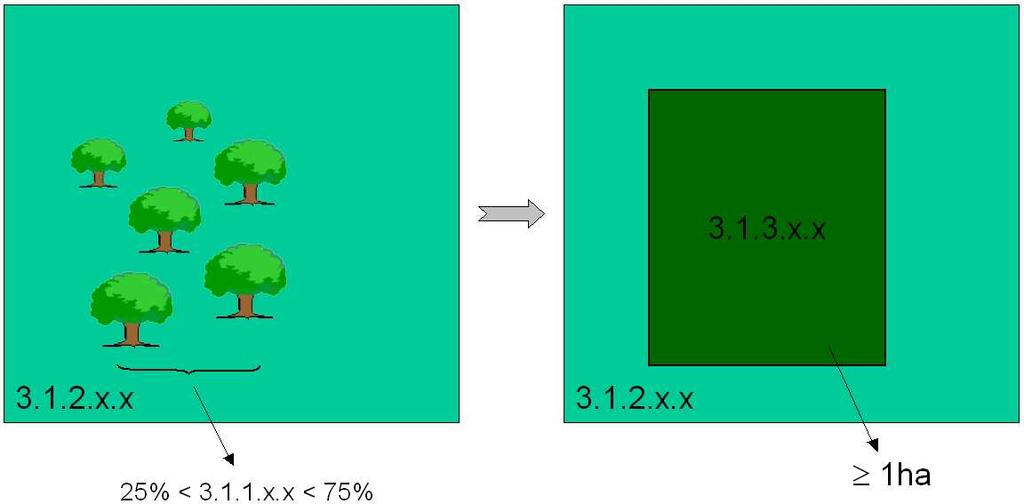 3.1.2.01.3 Florestas de outras resinosas Florestas puras de uma espécie de outras resinosas não discriminada nas restantes classes de resinosas (3.1.2.01.1 e 3.1.2.01.2). (e.g.
