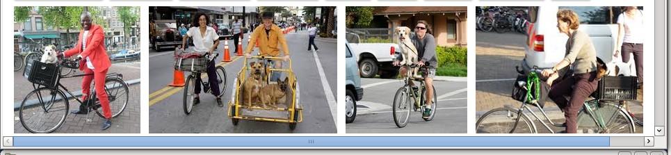 Procurar: Man riding bicycle carrying dog em mecanismos