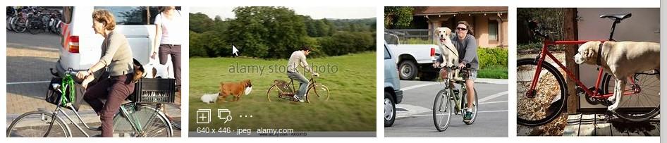 Como os sites de busca encontram imagens de: Man riding
