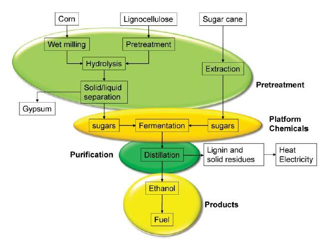 Biorefinarias - Rotas termoquímicas de conversão da biomassa Recapitulando -