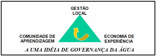 Figura 3- Fractal que representa a Governança. (SILVA, 2006) 4.