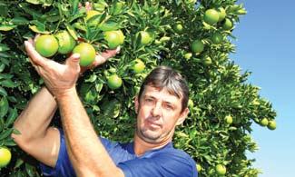 A primeira ação foi realizada em agosto de 2011 e, agora, os produtores devem investir O agrônomo Eder Cardoso, do Fundecitrus, treina os citricultores, que já dão exemplo e mostram como mantêm o