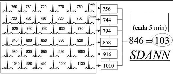 Capítulo 2 REVISÃO DE LITERATURA 24 somente mudanças na freqüência cardíaca causadas por ciclos de amostras mais curtas do que 5 minutos.
