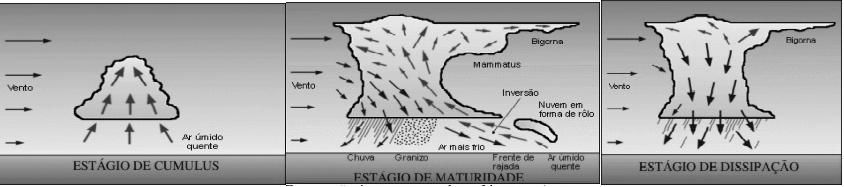 Revista Brasileira de Geografia Física, vol.7, n.6 (214) 111-1118. Figura 1. Ciclo de vida de uma tempestade convectiva, nas suas três fases. Fonte: Ferreira (22), adaptado de Brasgreco Weather.