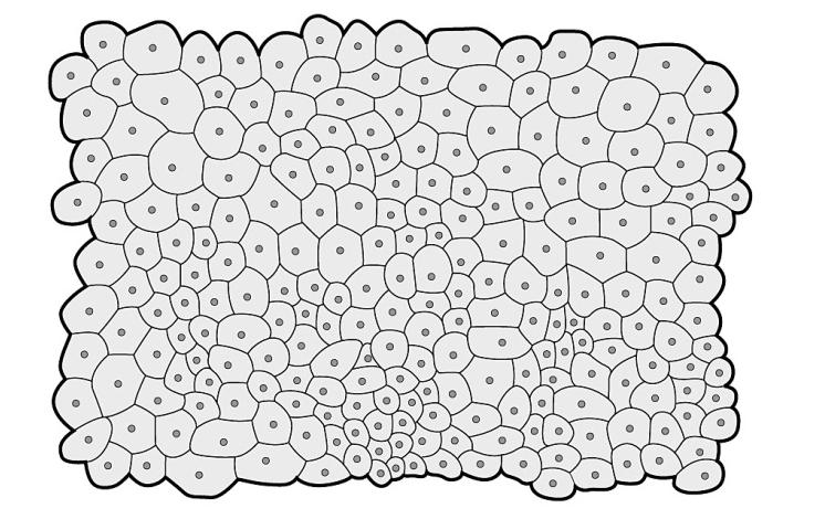 Introdução 30 Phillips et al.