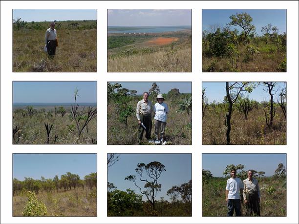 de campo, o qual indicou algumas das alterações apresentadas na classificação e na nomenclatura do atual mapa de vegetação.