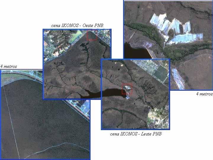 3.2 - Atualização do Mapa de Vegetação do PNB O atual mapa de vegetação do PNB foi utilizado como verdade terrestre nesta pesquisa, auxiliando na análise dos modelos lineares aplicados às imagens