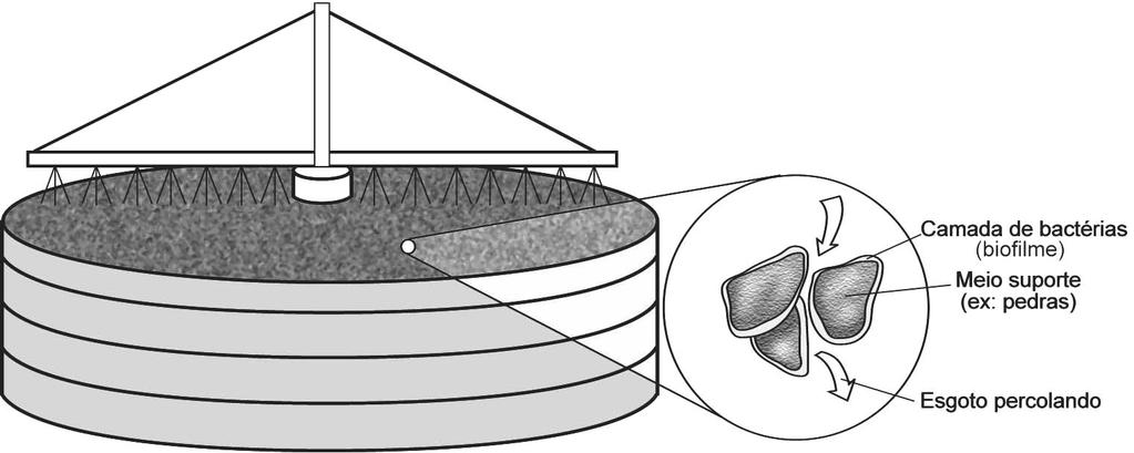 32 Figura 3.7 : Esquema de desenvolvimento de microorganismos Em freqüentes situações, principalmente para filtros biológicos percoladores de alta taxa, é necessário o uso de decantadores secundários.