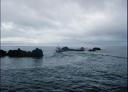 Figura 2 - Costa rochosa da ilha do Corvo,