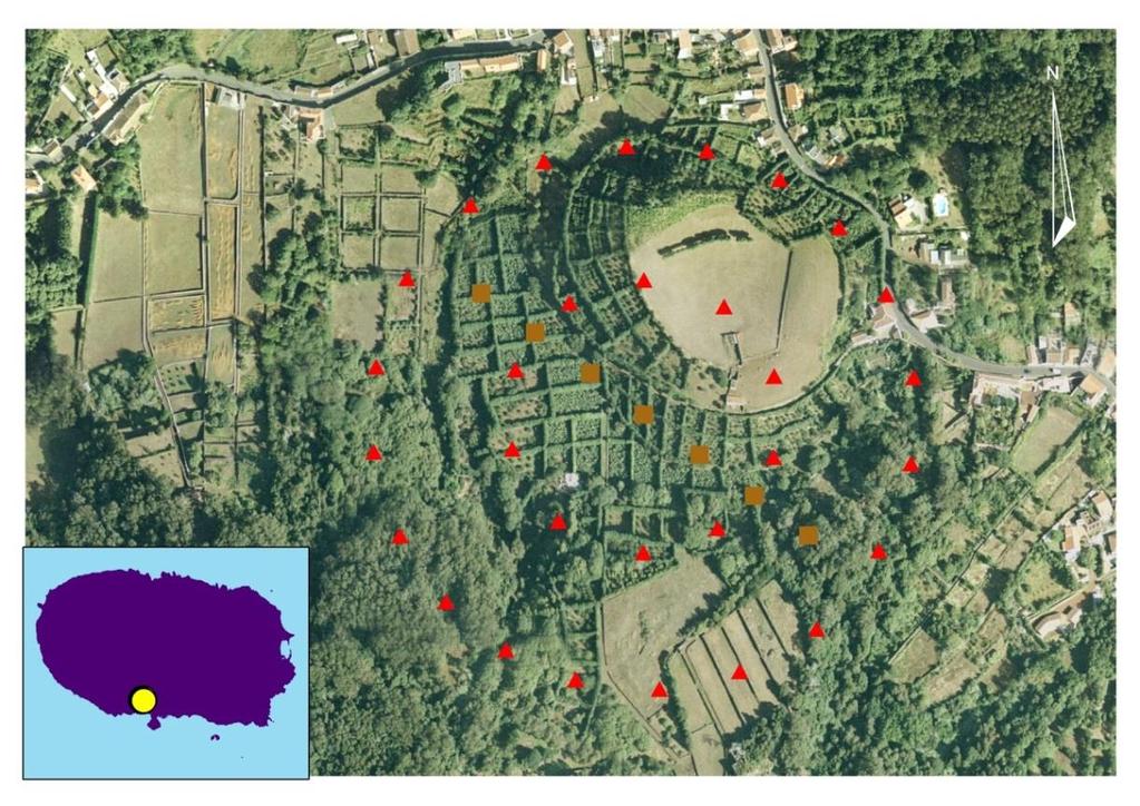 escolhidas localizadas na vertente Norte da Ilha Terceira.