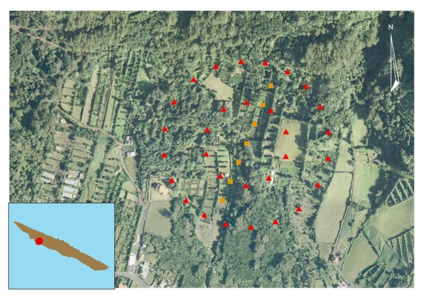 Figura 4.3 Disposição dos dois circulos concêntricos de armadilhas, para avaliação da dispersão dos machos esterilizados, nas parcelas escolhidas localizadas na vertente Sul da Ilha São Jorge.