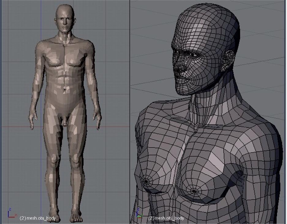 Figura 2.7. Representação em superfície mesh de um simulador masculino. Adaptado de Cassola et al.