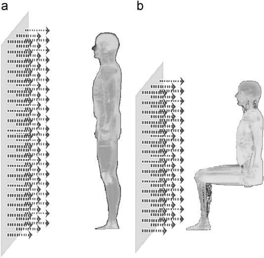 Fundamentação Teórica Figura 3.8. Simulador do sexo masculino (VOXTISS8) na postura em pé (a) e sentado (b) irradiado por fótons monoenergético em geometria de irradiação antero-posterior.