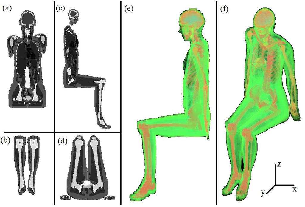 Figura 5.2. Simulador AF na postura sentada em (a) corte frontal evidenciando o tronco, (b) corte frontal da perna, (c) corte sagital da coxa direita.