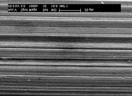 a) b) Figura 3 - a) Micrografia (aumento de 1000x) obtida por MEV da superfície do aço 316L sem revestimento, antes da imersão em solução de Hanks, a 37ºC; b) Mesma amostra do item a), após 28 dias